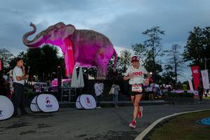 BIB: 
                            <button type="button" onclick="openModal(26529599)" class="btn btn-primary btn-sm float-right btn-popup" data-toggle="modal" data-target=".modal-high-quality">
                        <i class="fas fa-shopping-cart"></i> Add to Cart
                    </button>
                                            <button type="button" onclick="isThisMe(26529599, true)" class="btn btn-success btn-sm float-right btn-popup btn-isme hidden" data-toggle="tooltip" data-placement="bottom" title="นี่คือรูปของคุณใช่ไหม คลิกที่นี่เพื่อเอาเข้าอัลบั้ม">
                        <i class="fas fa-plus"></i> Add to album
                    </button>
                    <button type="button" onclick="isThisMe(26529599, false)" class="btn btn-warning btn-sm float-right btn-popup btn-isnotme hidden">
                        <i class="fas fa-ban"></i> Remove from album
                    </button>